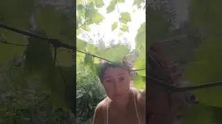 Цель в жизни помогает выйти из сложившейся ситуации!