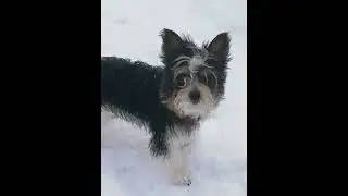 Бубляш💋💋💋
