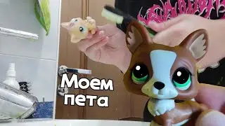 Как мыть петов? || туториал по уходу за LPS🐾