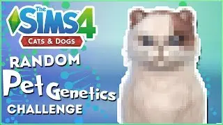 A Meowing Mouse?! 🎲 Random Pet Genetics Challenge!! - Experiment #7