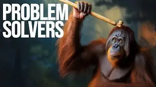 How Smart Are Orangutans?