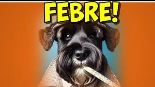 O paradoxo da FEBRE! Detetive Gamora investiga: episódio 06! #dengue #resfriado