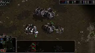 Starcon 2024 Lower Bracket Round 6 Artosis v Doodle