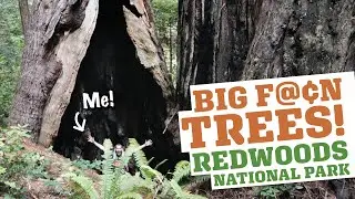 Gettin' Sexy in Redwoods National Park...Oregon & California