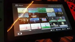 Zelda Breath Of The Wild Video Saving Error