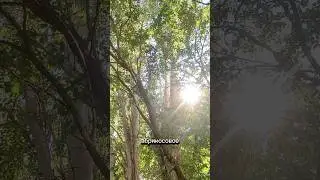 Боль😂 #светапанова #юмор