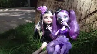 Stop Motion VLOG Торы Мексика