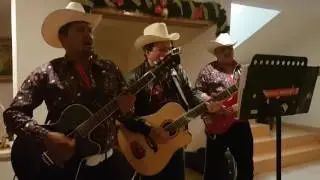 Ramon Massiaca - Las flores de tu florero