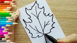 ЛИСТ КЛЕНА / раскраска КЛЕНОВЫЙ ЛИСТ / Нарисуй Ка