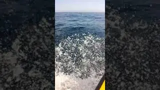29 августа 2019 г.