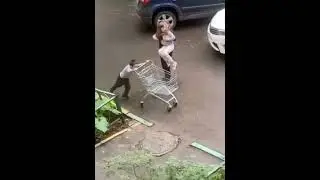 что тут происходит? 😂