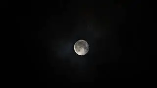 저녁 명상 | 마음목욕 10분
