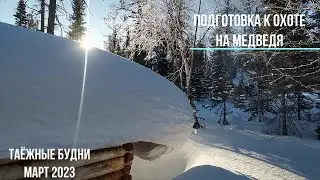 Таёжные будни в Сибири, подготовка к весенней охоте на медведя 2023