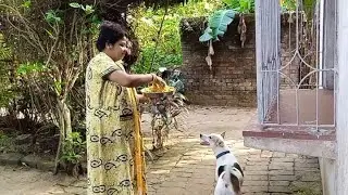 3 দিন বৃষ্টির পর রোদ উঠলো,যেন প্রাণ ফিরে পেলাম 🤭🤭