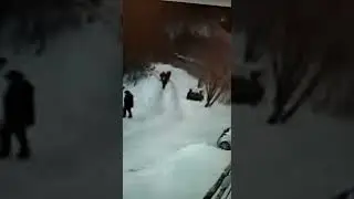 Похитили