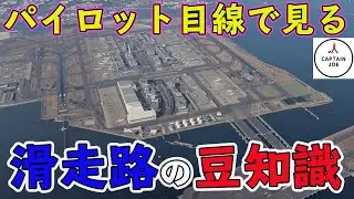 【滑走路の豆知識】現役機長が教える、昼間の滑走路、これ知ってます？（MSFS2020）
