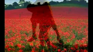 Please Remember Me - Davey Arthur And The Fureys