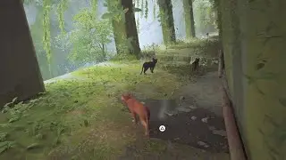Stray playthrough Pt.1