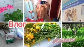 ВЛОГ🍀Хожу на уколы🌿Болталка про ВРАЧЕЙ И новый чай из ОДУВАНЧИКОВ 🌼