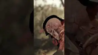 Sniper Elite 4 