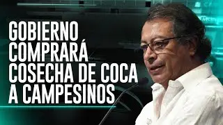 🔴#ENVIVO | La Otra Cara de la Moneda:Gobierno comprará las cosechas de coca a campesinos