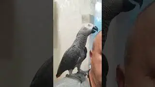 Ты тута? и я тута )) 