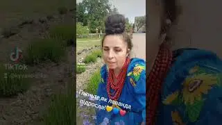 @Лаванда для енергетики!!!