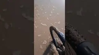 Лесная дорога