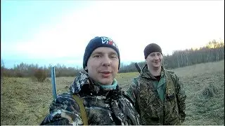 Охота на вальдшнепа 2018.Поле с клещами. Второй день