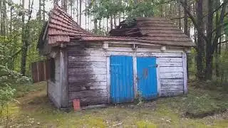Зарисовки с Антоновской узкоколейки 2022