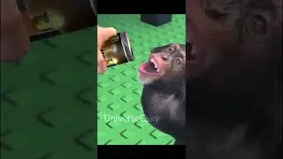 Monkey Drinking bloxy cola on roblox