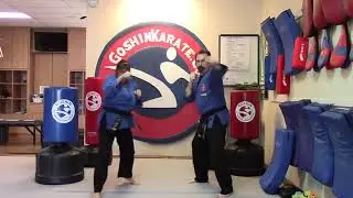 Goshin Karate - Online Library #112