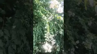 Mong bạn hãy luôn tử tế và dịu dàng với bản thân...