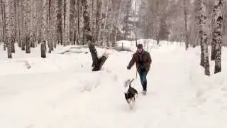 Макс на прогулке 2015.01.08 p5 00626