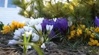 ВАЛЬС ЦВЕТОВ из к\ф Маскарад А. Хачатурян