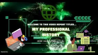 Professional History Report