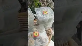 jambu madu