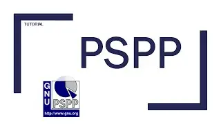 PSPP: Einführung (Fragebogen auswerten)