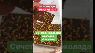 Шоколад на овсяном молоке С ПЫЛЬЦОЙ И ЦВЕТАМИ КОРИЦЫ, 65 гр. Nilambari