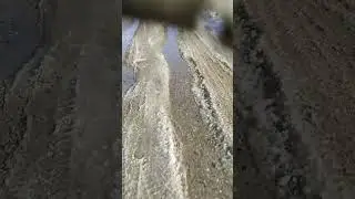 российские дороги плавать можно Так что купайтесь