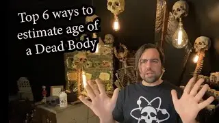 6 Tips for Estimating Age of Human Remains at Death