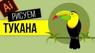КАК НАРИСОВАТЬ ТУКАНА. ПРОГРАММА ВЕКТОРНОЙ ГРАФИКИ ADOBE ILLUSTRATOR.