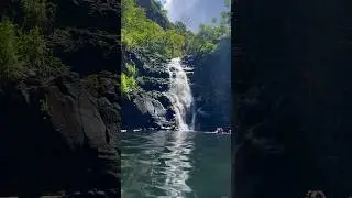 🌺 Waimea Falls 💦