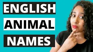 English Pronunciation | 50+ Animal & Insect Names in English