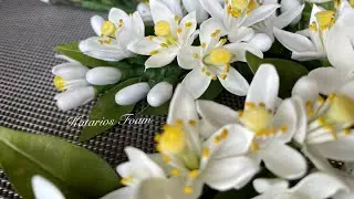 Orange blossom from foamiran/ Флердоранж из фоамирана
