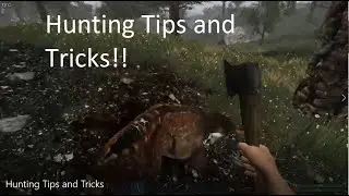 Subsistence: Hunting Tips and Tricks