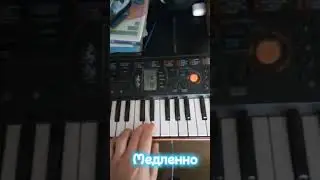 Pink Floyd The wall Для Новичков #shots #рекомендации #подпишись #tutorial