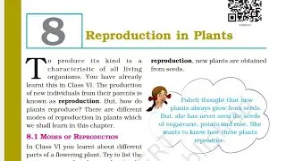 Class 7th l Chapter 8 l Science l Reproduction in plants Explanation  l NCERT l Cbse board