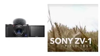 Sony ZV-1 with The Rode Wireless GO 2 - Could this be the BEST vloggers setup