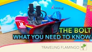 Roller Coaster on a Cruise ship!! Need to Know - Bolt Carnival Cruise Line